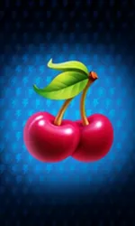 Fortune Power: Hold & Win